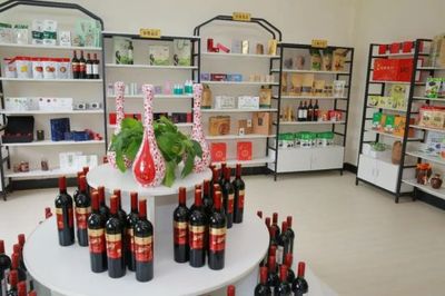 通化市企業自主開發惠企助農電商平臺