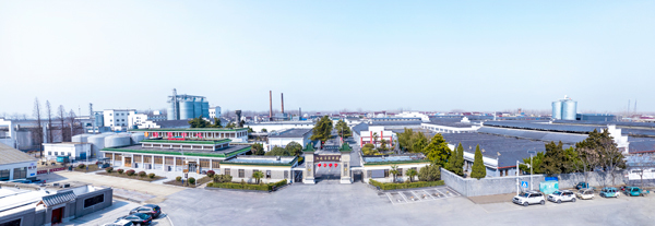 聚力創新發展 | 湯溝酒業亮相2024(第十一屆)江蘇互聯網大會