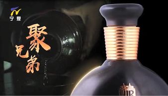 貴州南國酒業微酒堡攜手各大衛視，共創酒業銷售新未來